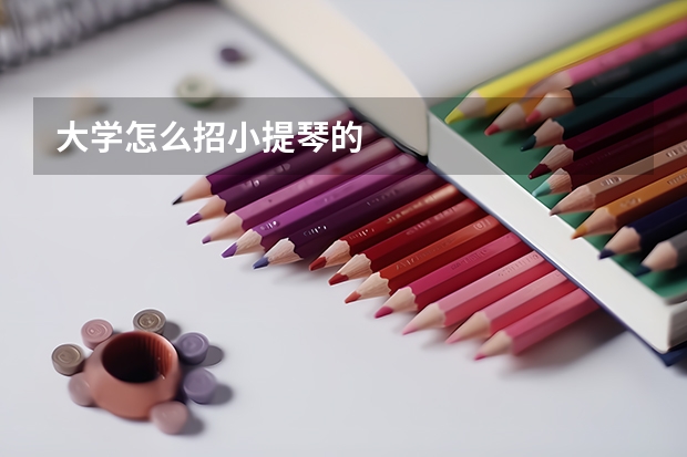 大学怎么招小提琴的