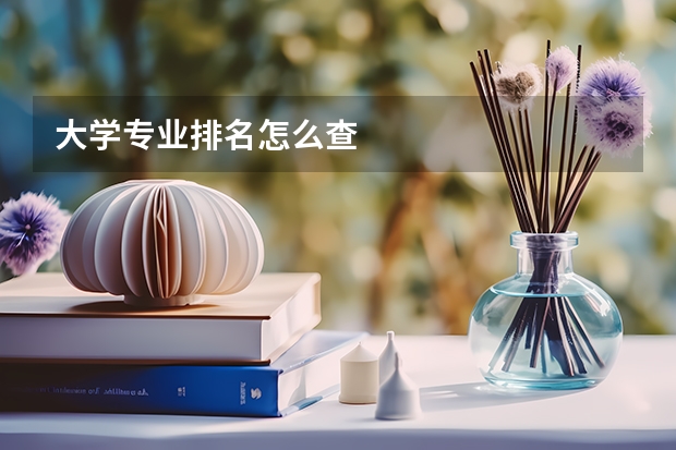 大学专业排名怎么查