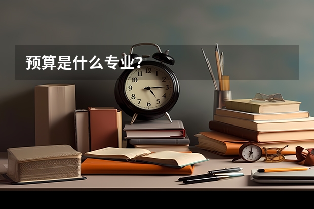 预算是什么专业?