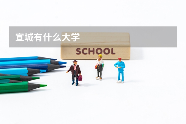 宣城有什么大学