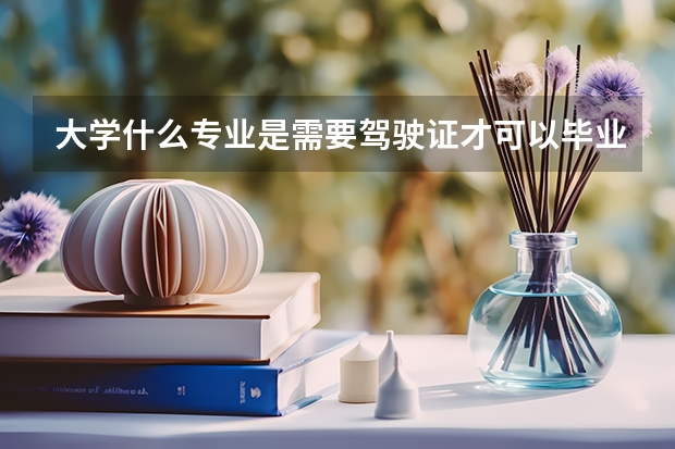 大学什么专业是需要驾驶证才可以毕业的？