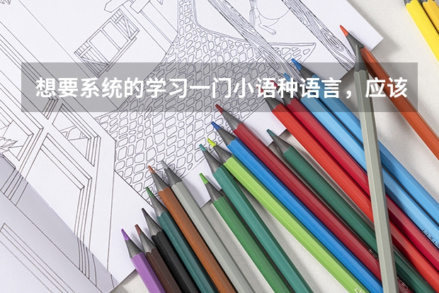 想要系统的学习一门小语种语言，应该选择什么院校？