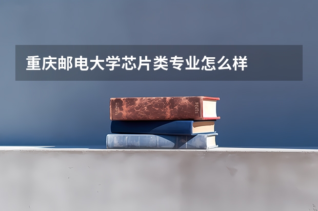 重庆邮电大学芯片类专业怎么样