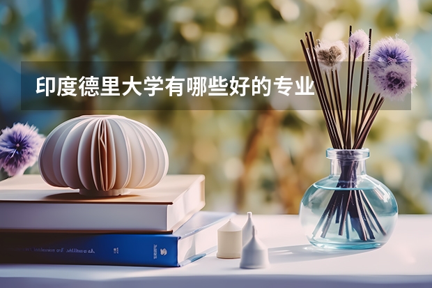 印度德里大学有哪些好的专业