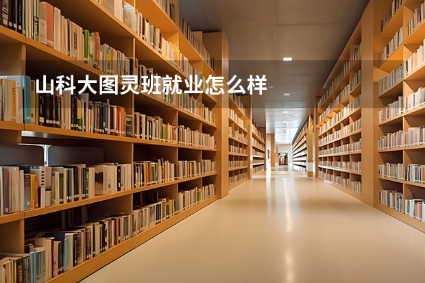 山科大图灵班就业怎么样