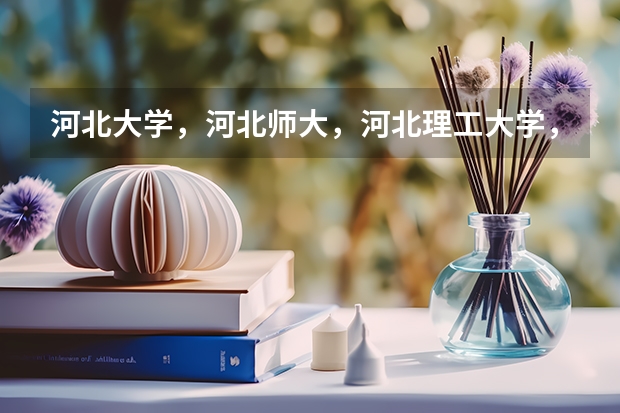 河北大学，河北师大，河北理工大学，河北科技大学，哪个学校软件工程类更好？分别在什么地方？
