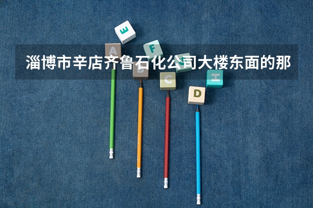 淄博市辛店齐鲁石化公司大楼东面的那个职业学院叫什么名字,什么性质的学校?