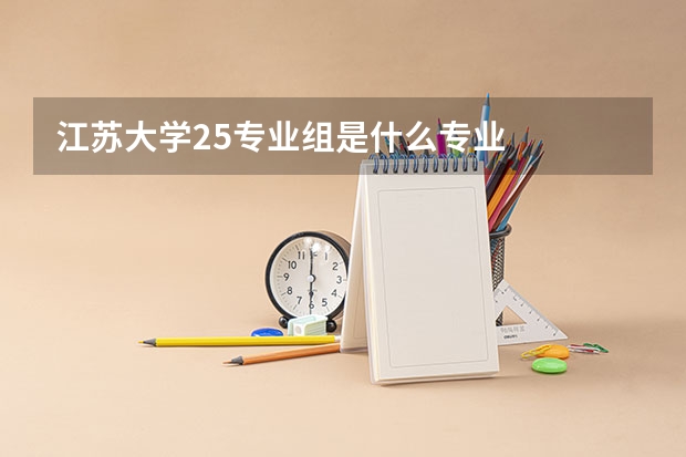江苏大学25专业组是什么专业