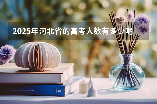 2025年河北省的高考人数有多少呢？