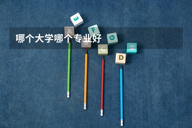 哪个大学哪个专业好