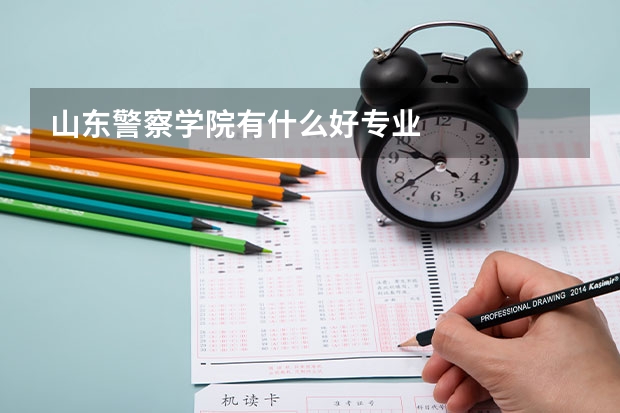 山东警察学院有什么好专业