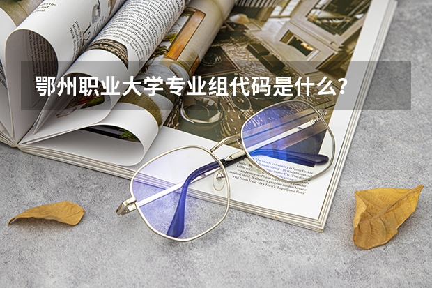 鄂州职业大学专业组代码是什么？
