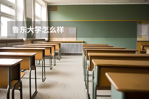 鲁东大学怎么样