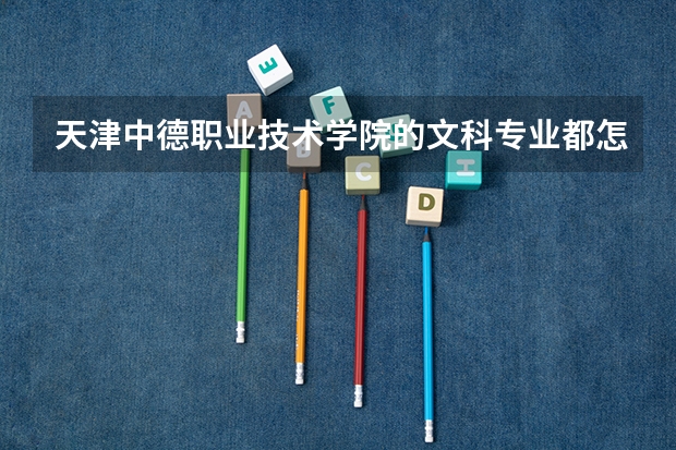 天津中德职业技术学院的文科专业都怎么样啊？