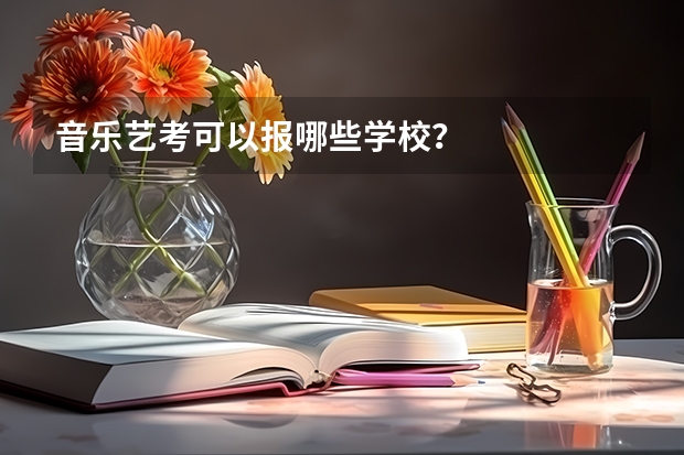 音乐艺考可以报哪些学校？