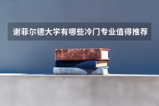 谢菲尔德大学有哪些冷门专业值得推荐？