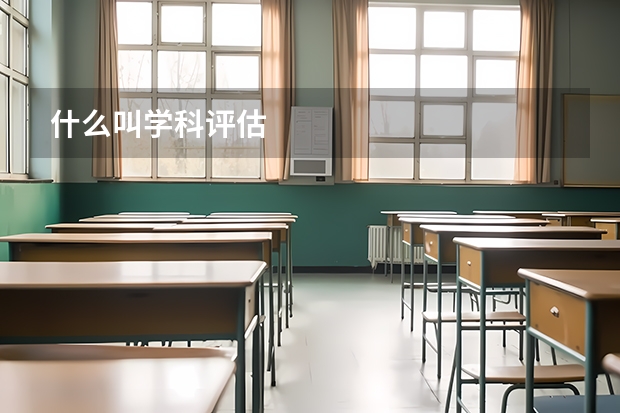什么叫学科评估