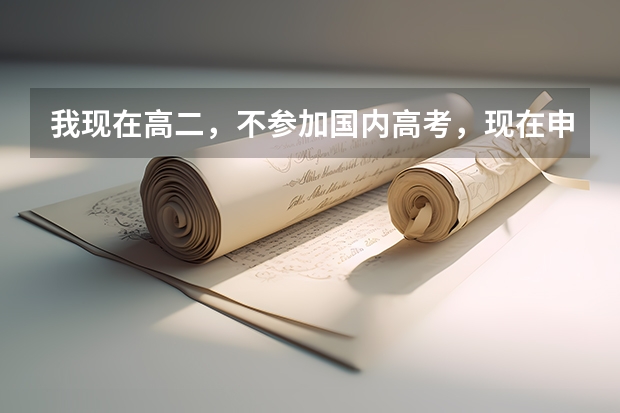我现在高二，不参加国内高考，现在申请出国留学，需要哪些条件？