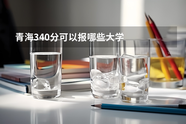 青海340分可以报哪些大学