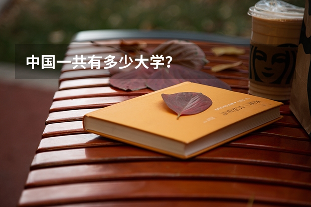 中国一共有多少大学？