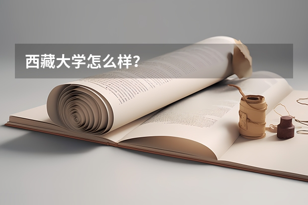 西藏大学怎么样？