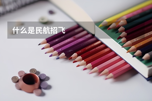 什么是民航招飞