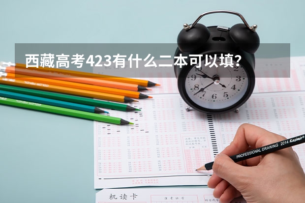 西藏高考423有什么二本可以填？