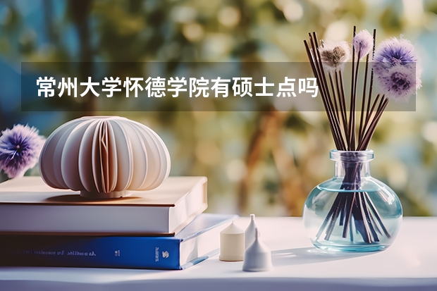 常州大学怀德学院有硕士点吗