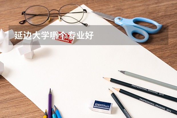 延边大学哪个专业好