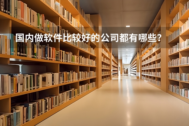 国内做软件比较好的公司都有哪些？