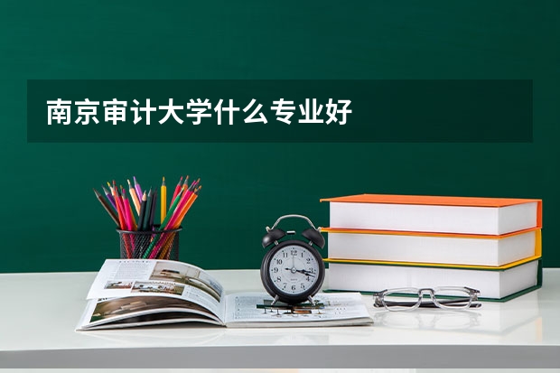 南京审计大学什么专业好