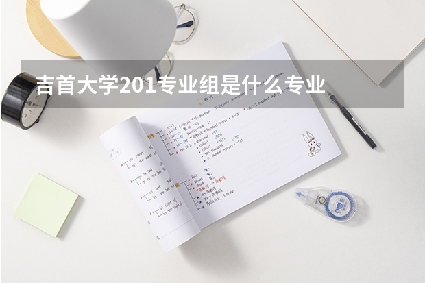 吉首大学201专业组是什么专业