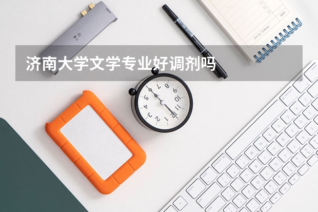 济南大学文学专业好调剂吗