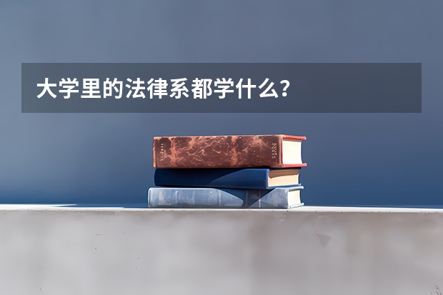 大学里的法律系都学什么？