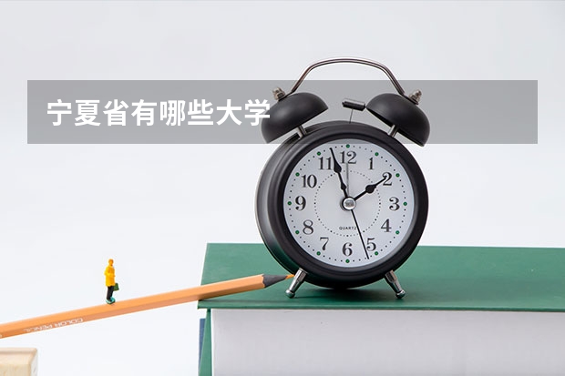 宁夏省有哪些大学