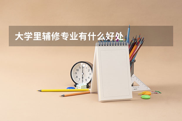 大学里辅修专业有什么好处