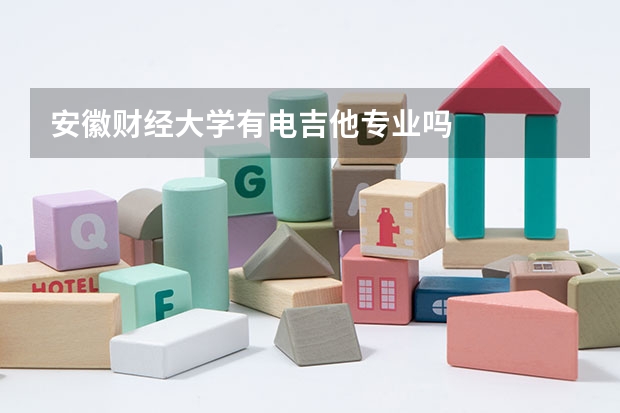 安徽财经大学有电吉他专业吗