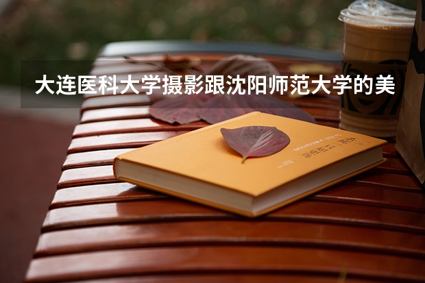 大连医科大学摄影跟沈阳师范大学的美术学选哪个?