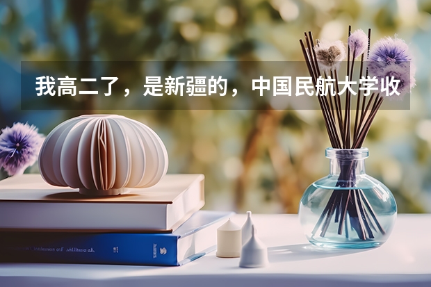 我高二了，是新疆的，中国民航大学收吗？想毕业后学空乘专业，面试严格吗？中国民航好么？