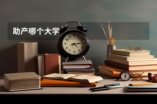 助产哪个大学