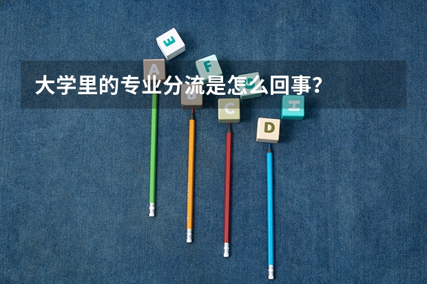 大学里的专业分流是怎么回事？