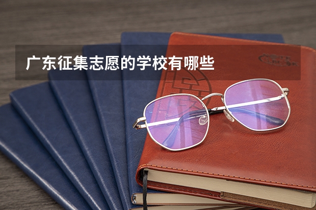 广东征集志愿的学校有哪些
