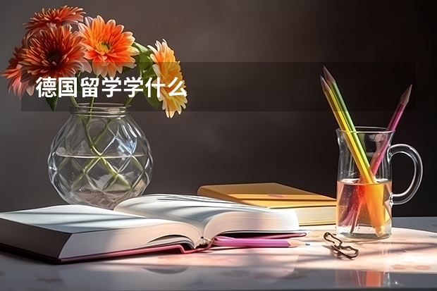 德国留学学什么