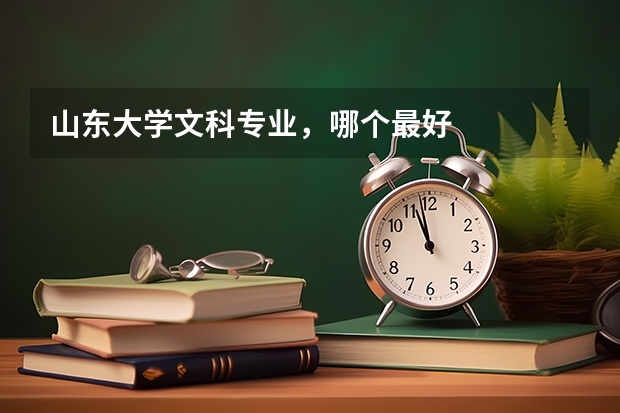 山东大学文科专业，哪个最好
