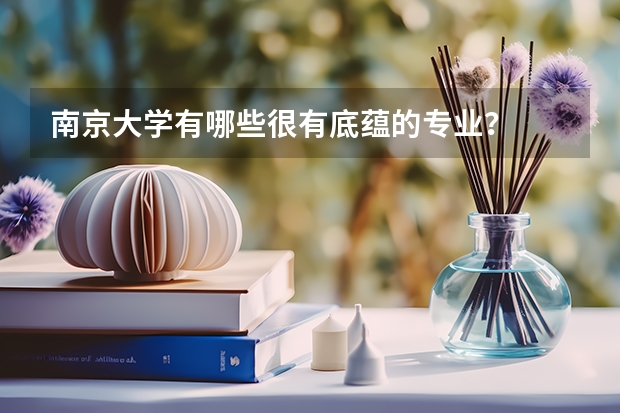 南京大学有哪些很有底蕴的专业？