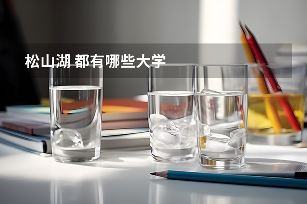 松山湖 都有哪些大学
