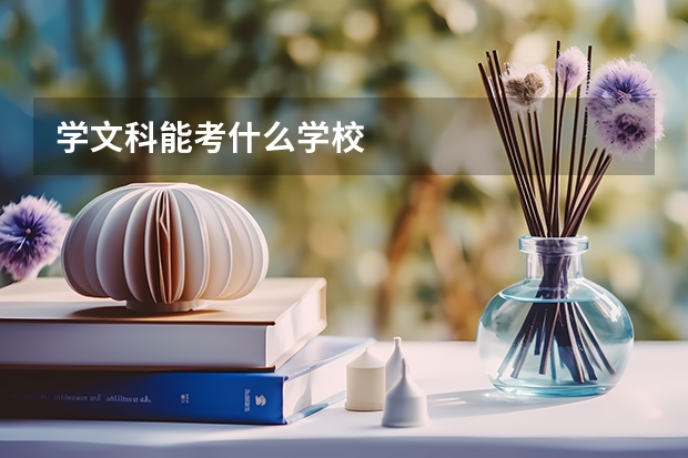 学文科能考什么学校