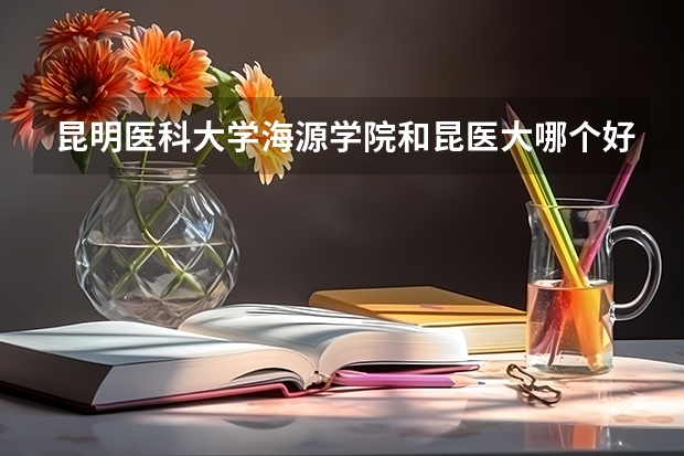 昆明医科大学海源学院和昆医大哪个好