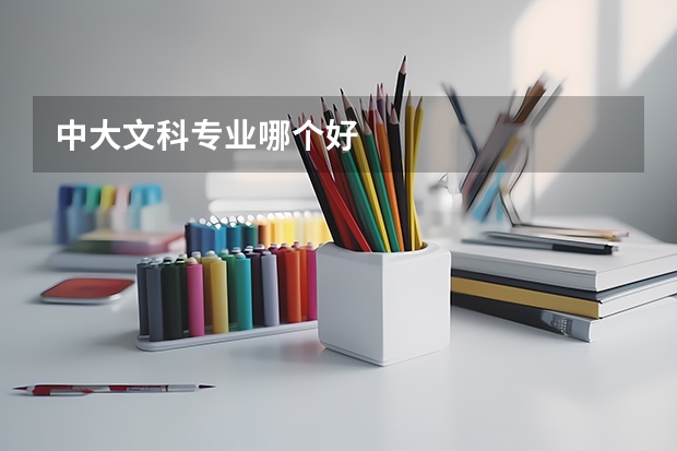 中大文科专业哪个好