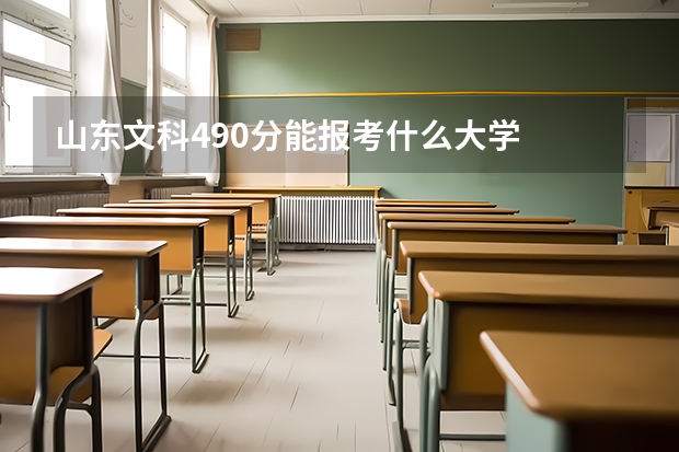 山东文科490分能报考什么大学